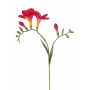 Kunstblume Freesie MARUSHA, pink, 70cm, Ø6cm
