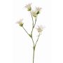 Künstliche Japanische Nelke KASTALIA, creme, 65cm, Ø4-5cm