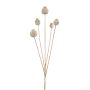 Künstlicher Mohnkapsel Zweig FILOMELA, beige-braun, 75cm, Ø2-3,5cm