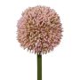 Dekoblume Allium MENKES, rosa, 65cm