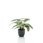 Künstliche Zimmerpflanze Calathea Zebrina VAIDA im Dekotopf, grün-weiß, 40cm