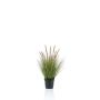 Deko Kunstgras Federborstengras YWAIN mit Rispen, beige-grün, 60cm