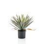 Künstliche Yucca elephantipes KOUKI, 50cm