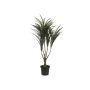 Kunst Dracaena Reflexa TABIVO, Kunststamm, grün-rot, 90cm