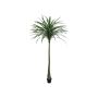 Kunst Dracaena Reflexa TABIVO, Kunststamm, grün, 220cm