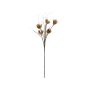 Kunststoffschaum Sedum rubrotinctum Zweig BIROSSA, crossdoor, beige, 100cm