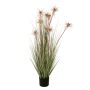 Plastik Sterngras STISA mit Rispen, rosa, 120cm