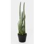 Kunstpflanze Sansevieria Cylindrica AIDANA, grün-gelb, 65cm