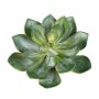 Künstliche Echeveria morani CURSA auf Steckstab, grün, 15cm