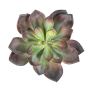 Künstliche Echeveria morani CURSA auf Steckstab, rot-grün, 15cm