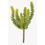 Künstliche Crassula Perforata FULU auf Steckstab, grün, 15cm