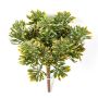 Kunstpflanze Crossostephium KARAHNI auf Steckstab, grün-orange, 20cm