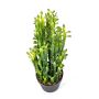 Künstlicher Kaktus Euphorbia trigona KAROLIINA, grün, 65cm