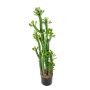 Plastik Kaktus Euphorbia trigona GACRUX, grün, 120cm