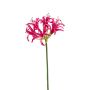 Deko Kunstblume Gartenamaryllis BAIMAI, pink, 75cm, Ø19cm