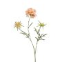 Deko Zweig Scabiosa MARUA, pfirsich, 80cm