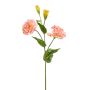 Kunst Lisianthus PHAM, pfirsich, 60cm
