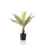 Kunst Bergpalme AIKU, 50cm