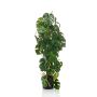 Dekopflanze Philodendron Monstera Deliciosa RONGPU, 75cm