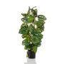 Kunstpflanze Philodendron Monstera adansonii LINLU, 75cm