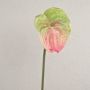 Flamingoblüte künstlich YUSEI, grün-rosa, 65cm, 13,5x16cm