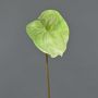 Flamingoblüte künstlich YUSEI, grün-creme, 65cm, 13,5x16cm