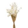 Künstlicher Pfingstrosen Blumenstrauß AYMA mit Ballon-Wolfsmilch, creme, 60cm