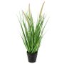 Unechtes Lampenputzergras UBON mit Rispen, Dekotopf, grün, 50cm