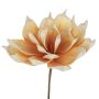 Kunststoffschaum Aloe Vera LIERA, gelb-weiß, 30cm