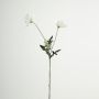 Künstlicher Blumenzweig Mohn GUNDULA, Eco Collection, weiß-lila, 70cm, Ø7-8cm