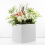 Individuelles Orchideengesteck - Kundenwunsch von Isabella
