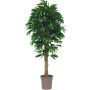 Unechte Mango MIMITICO, Naturstämme, grün, crossdoor, 175cm - Made in Italy