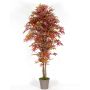 Kunst Japanischer Ahorn MYKYTA, Naturstämme, rot-braun, 300cm - Made in Italy