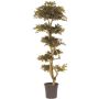 Dekobaum Japanischer Ahorn SLAWIK, Echtstamm, grün-rot, 185cm - Made in Italy