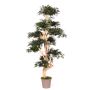 Dekobaum Japanischer Ahorn SLAWIK, Echtstamm, grün, 150cm - Made in Italy