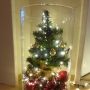 Weihnachten im Glas