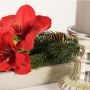 Stilvoll in den Advent