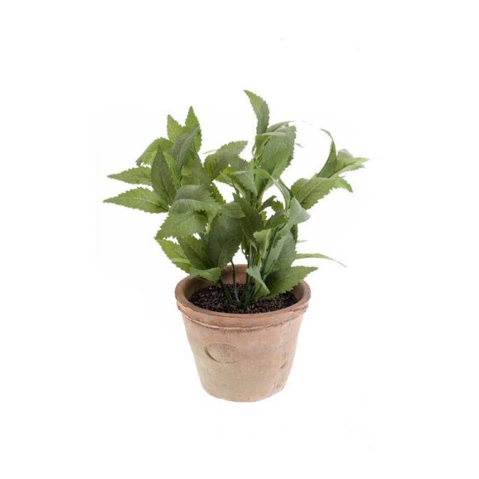 Süßes Alpaka Plüschtier, 28 Cm, Weich & Kuschelig – Perfektes Geschenk Für Kinder (Grün, Braun Oder Rosa)