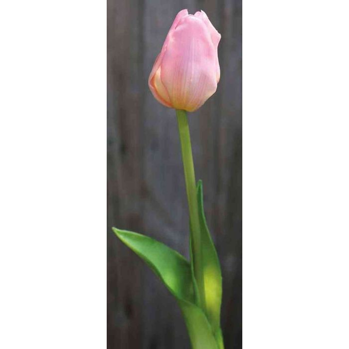 Käufer faltbar , Tulpen pop-art linie, rosa