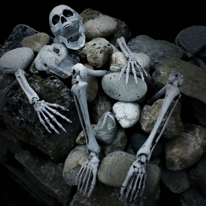 Halloween Dekoration Skelett Teile ADALBERT mit 5 Erdspieße, 19cm
