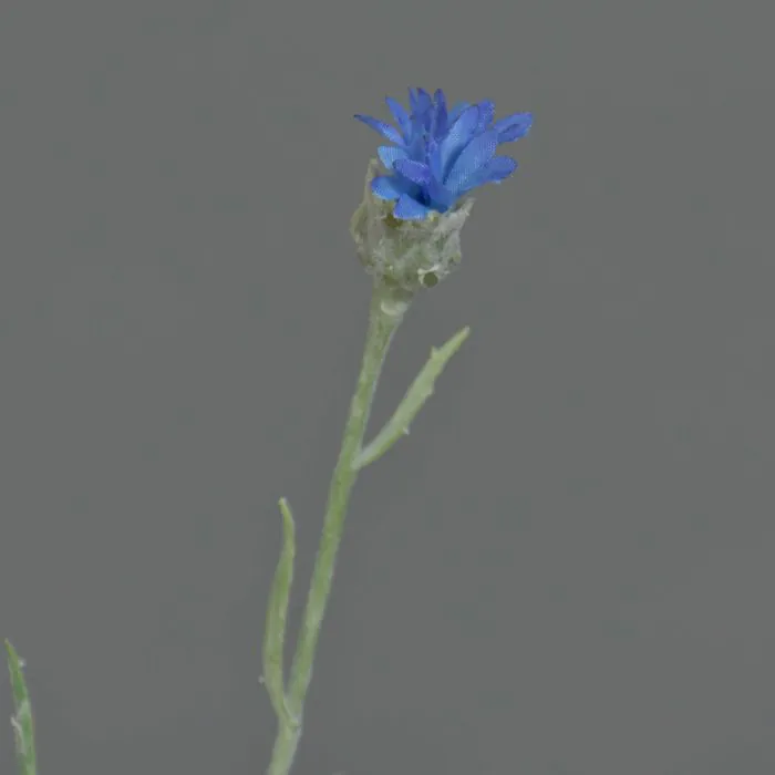 Kunstblume Kornblume ORTIGO – Blaue Künstliche Kornblume, Ca. 60 Cm Hoch, Für Deko Ohne Übertopf