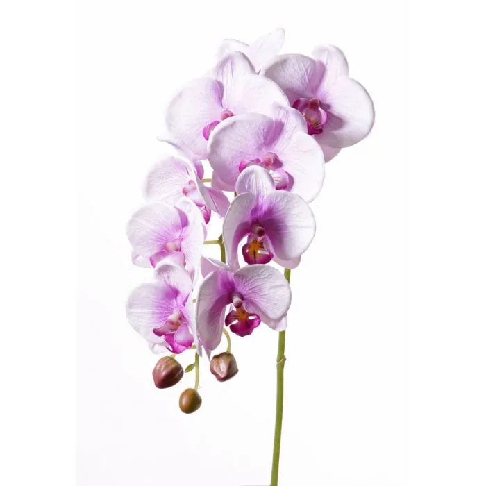 artplants Künstlicher Phalaenopsis Orchideen Zweig GALINA rosa-weiß 45cm 