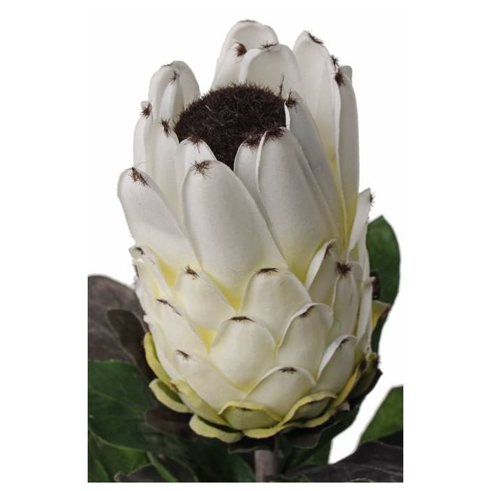 Kunstblume Protea NELLI weiß-gelb 75cm Ø8cm
