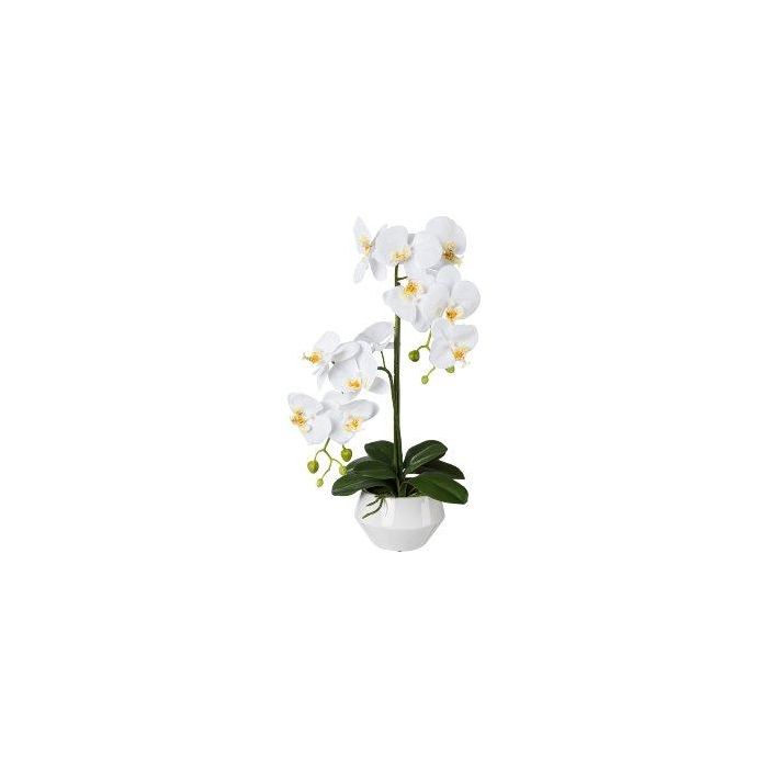 Orchideen Knstlich 2er Set Kunst-Orchideen Phalaenopsis Rosa | 50cm Hoch  Im Weien Keramiktopf