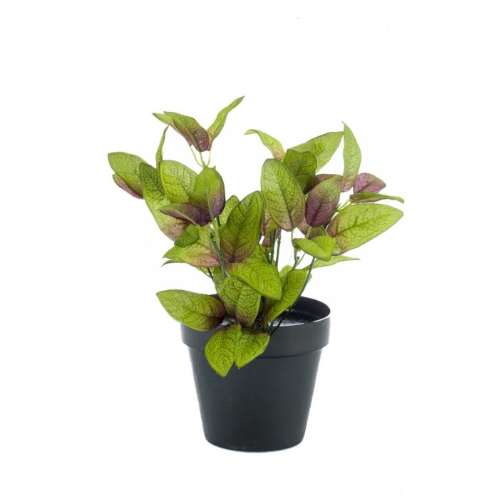 Prosperplast Sandy Rund Blumentopf – Übertopf 2in1 Inkl. Pflanztopf, Kunststoff, 158 Mm, Farbe: Salbei