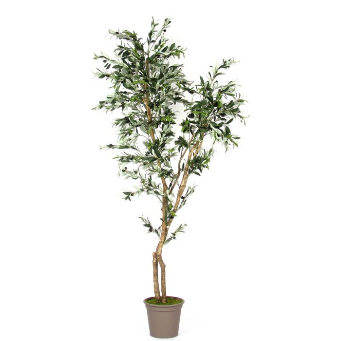 Künstlicher Olivenbaum 150 Cm Mit Topf | Olivenbau Produktbild-Vorschau 5