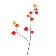 Künstlicher Physalis Zweig MARCY, Früchte, rot-orange, 95cm
