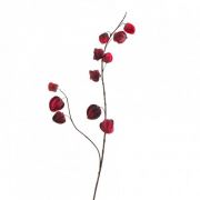 Künstlicher Physalis Zweig MARCY, Früchte, burgunderrot, 95cm