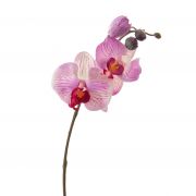  Rangliste der Top Künstliche orchideenzweige