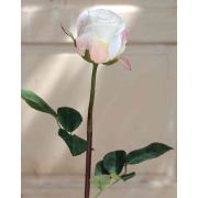 Kunst Rose SAPINA, creme-aprikose, 60cm, Ø6cm